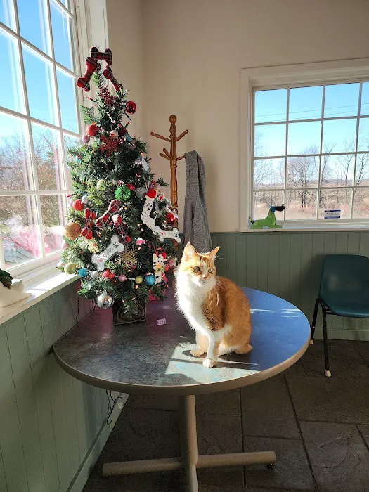Schoolcraft Veterinary Clinic: Bandkau Doug L DVM 5