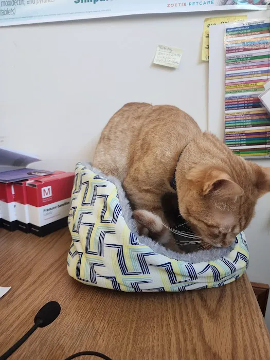 Schoolcraft Veterinary Clinic: Bandkau Doug L DVM 2