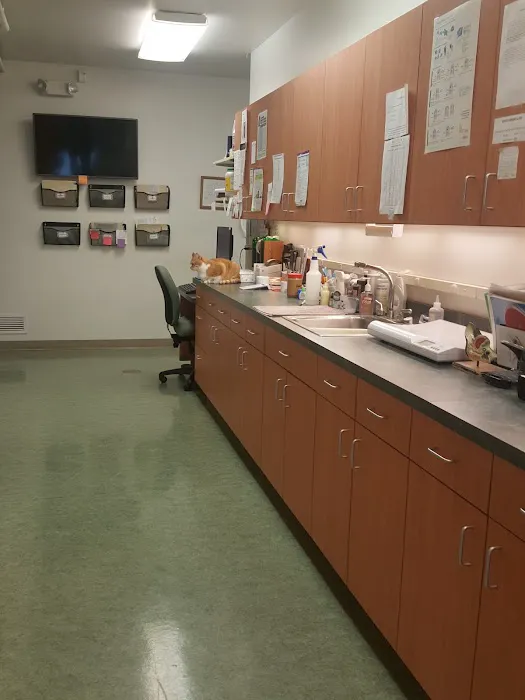 Schoolcraft Veterinary Clinic: Sauer Paula DVM 2