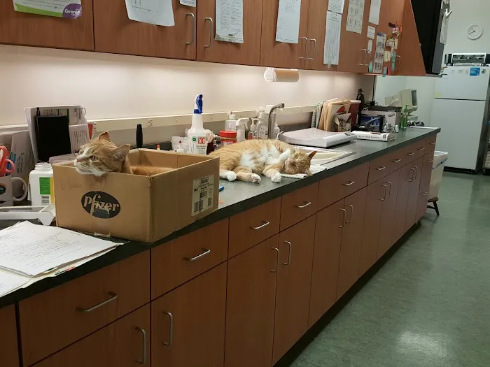 Schoolcraft Veterinary Clinic: Sauer Paula DVM 4