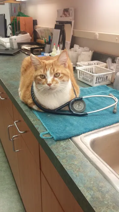 Schoolcraft Veterinary Clinic: Sauer Paula DVM 3