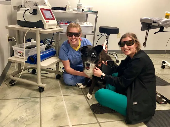 McAfee Animal Hospital 12