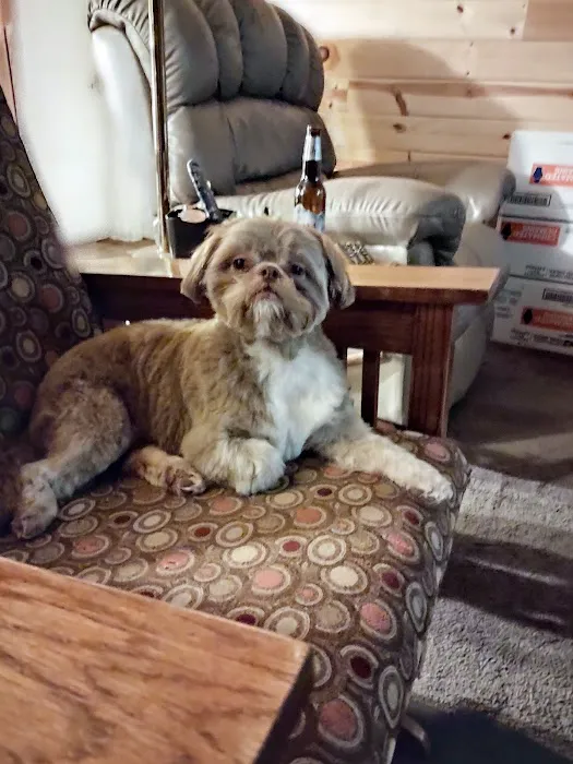 McAfee Animal Hospital 12