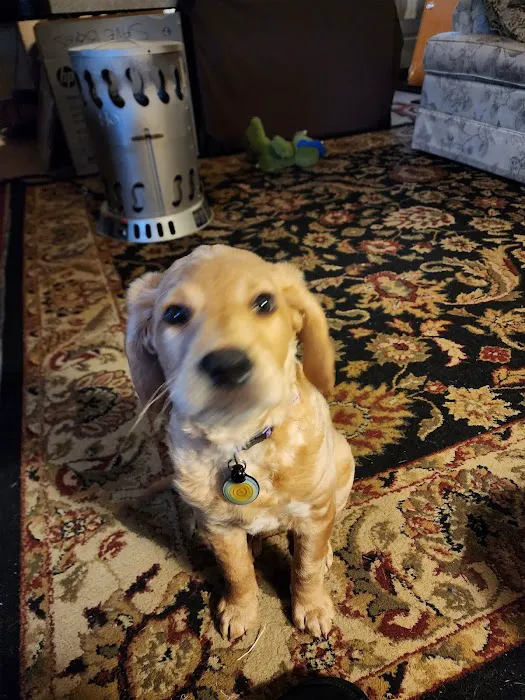 Hero Pet Animal Hospital 12