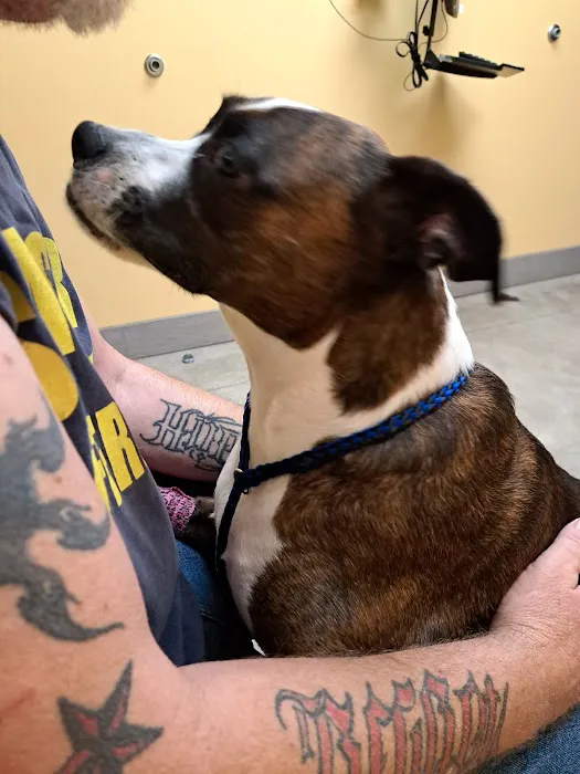 Hero Pet Animal Hospital 12