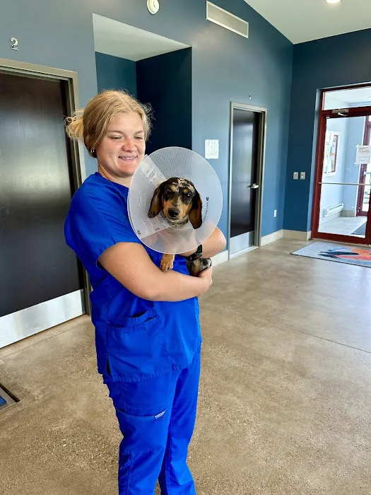 Hero Pet Animal Hospital 12