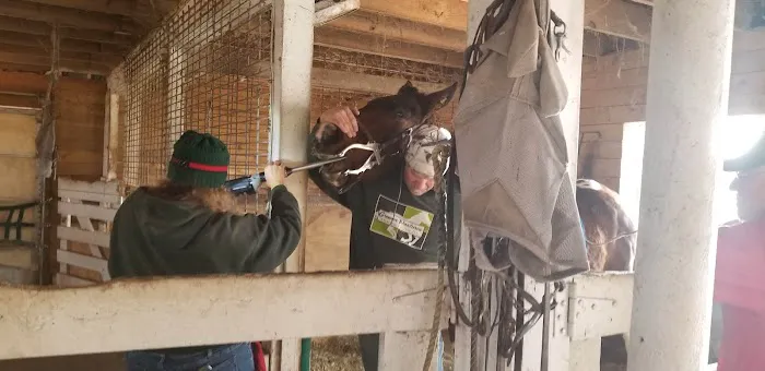 Greener Pastures Vet Clinic 12