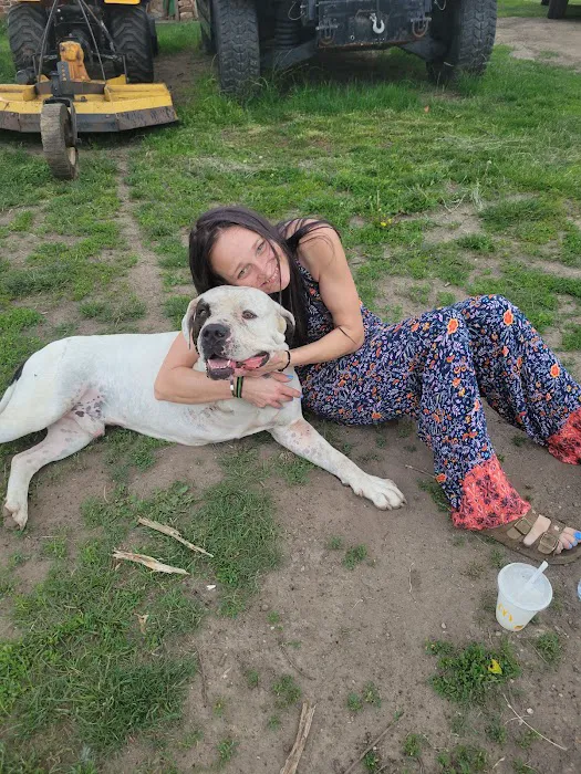 Hebron Animal Hospital 4