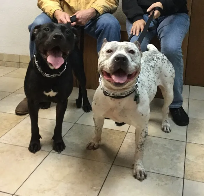 Hebron Animal Hospital 8