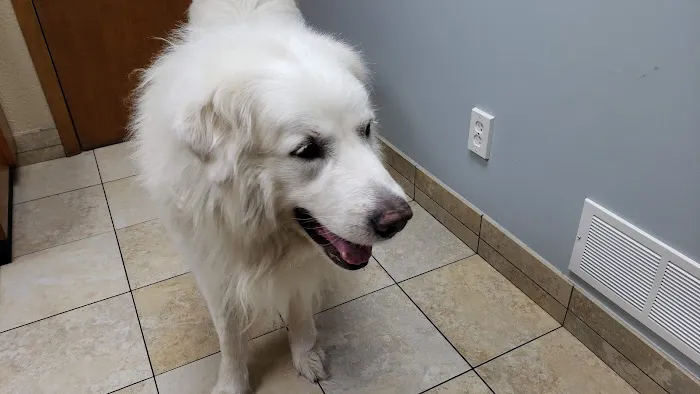 Hebron Animal Hospital 5