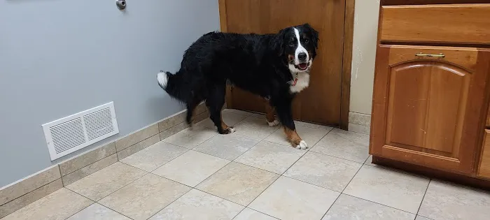 Hebron Animal Hospital 1