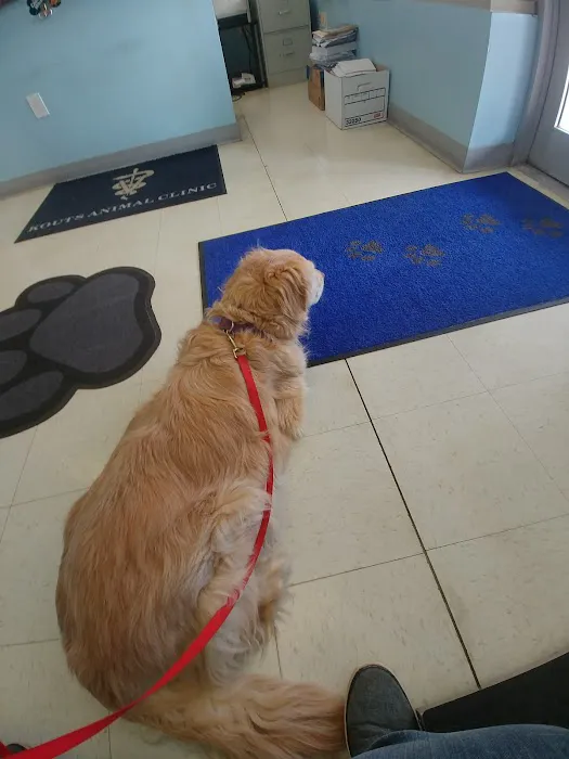 Kouts Animal Clinic 12