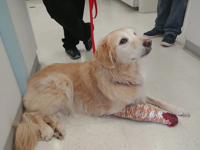 Kouts Animal Clinic 12