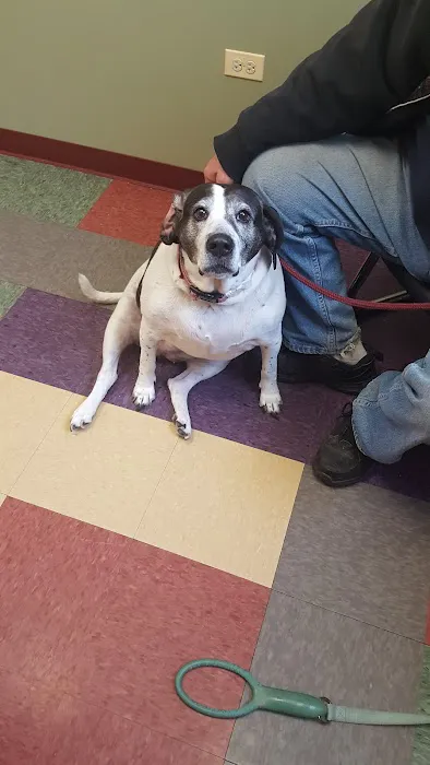 Animal Wellness Center Of Monee 5