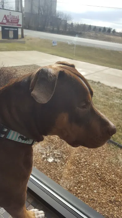 Animal Wellness Center Of Monee 1