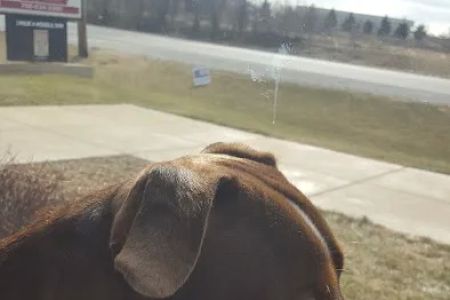 Animal Wellness Center Of Monee