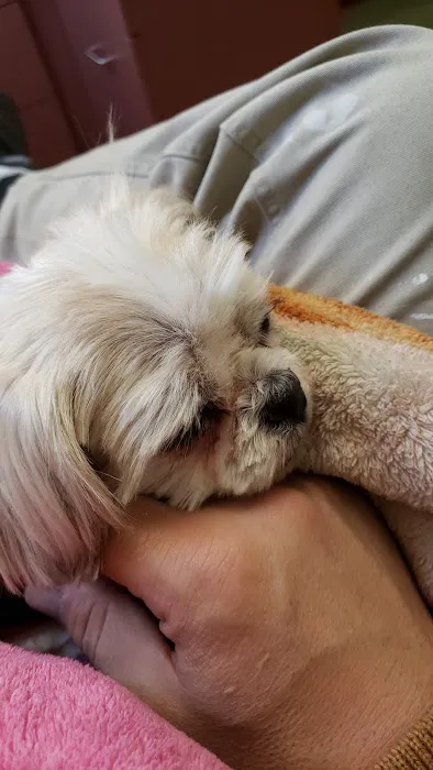 Animal Wellness Center Of Monee 3