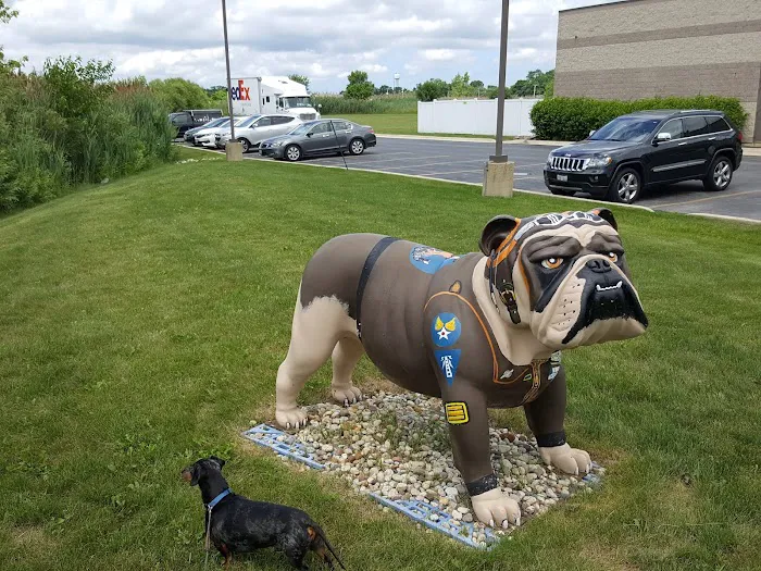 Animal Wellness Center Of Monee 7