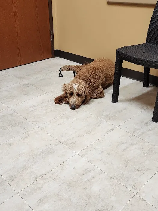 Cedar Way Veterinary Clinic 8