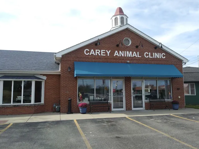 Carey Animal Clinic 7