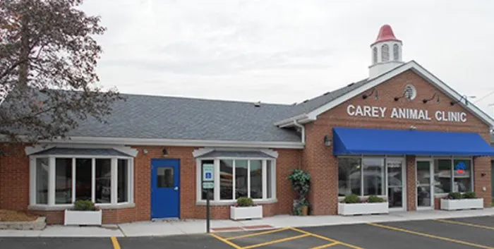 Carey Animal Clinic 2