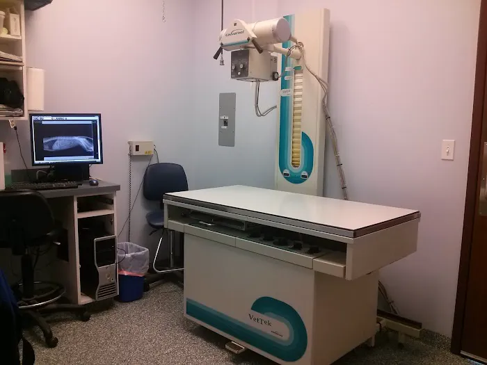 Carey Animal Clinic 9