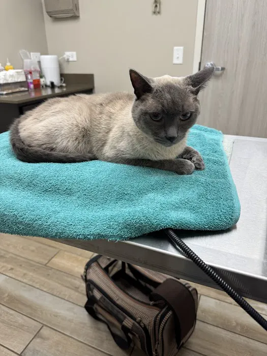 Animal Clinic at New Lenox 8