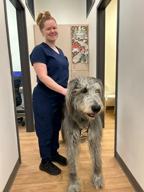 Whole Pet Veterinary Clinic 12