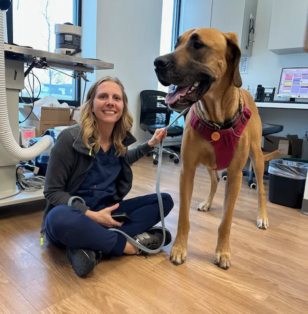 Whole Pet Veterinary Clinic 12