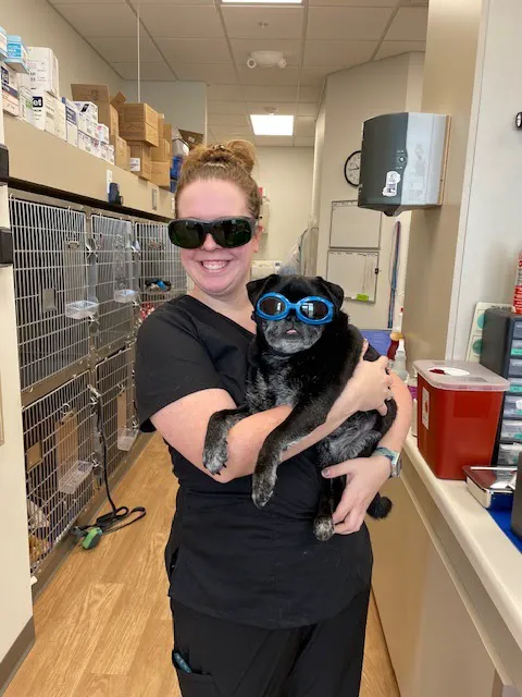 Whole Pet Veterinary Clinic 12