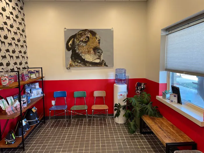 Isthmus Veterinary Care 7