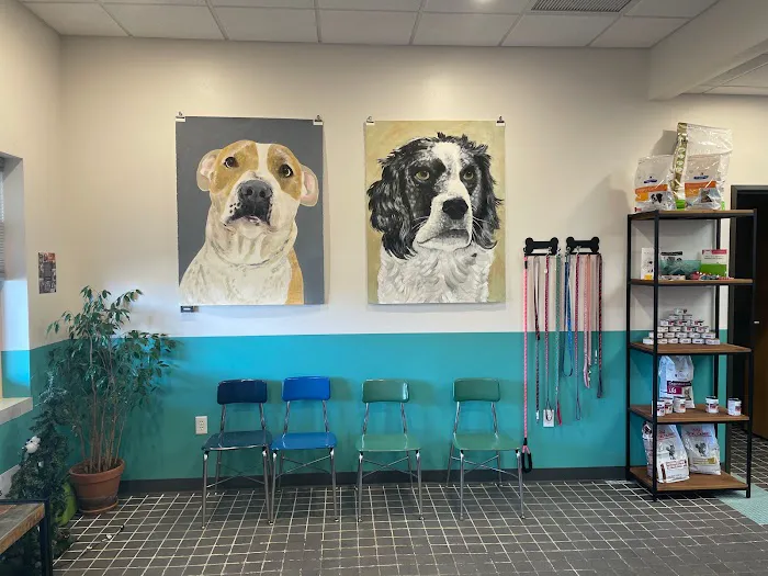 Isthmus Veterinary Care 3