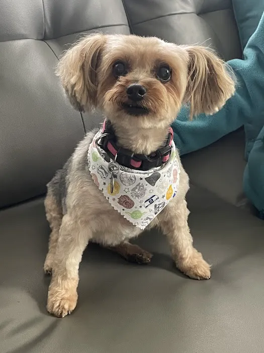 Northside Animal Hospital 7