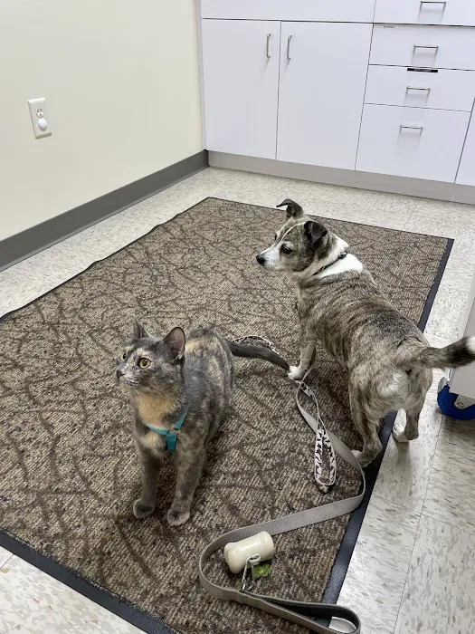 Northside Animal Hospital 5