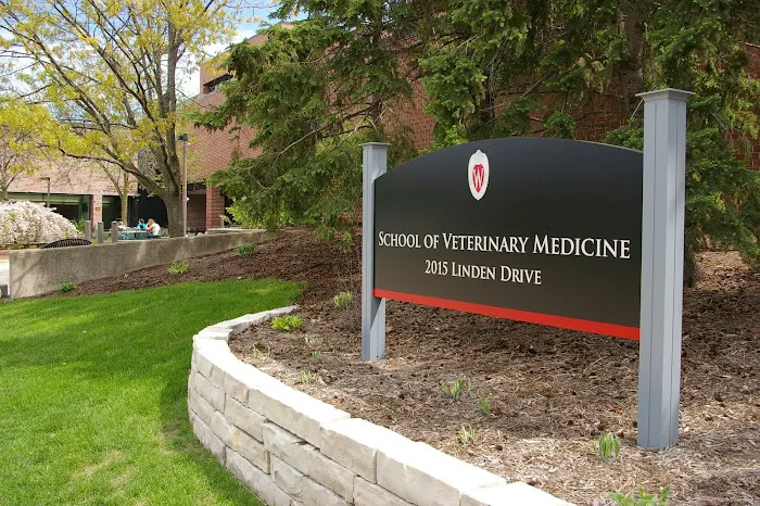 School Of Veterinary Medicine 6