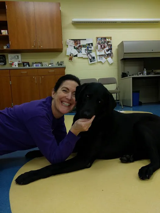 School Of Veterinary Medicine 5