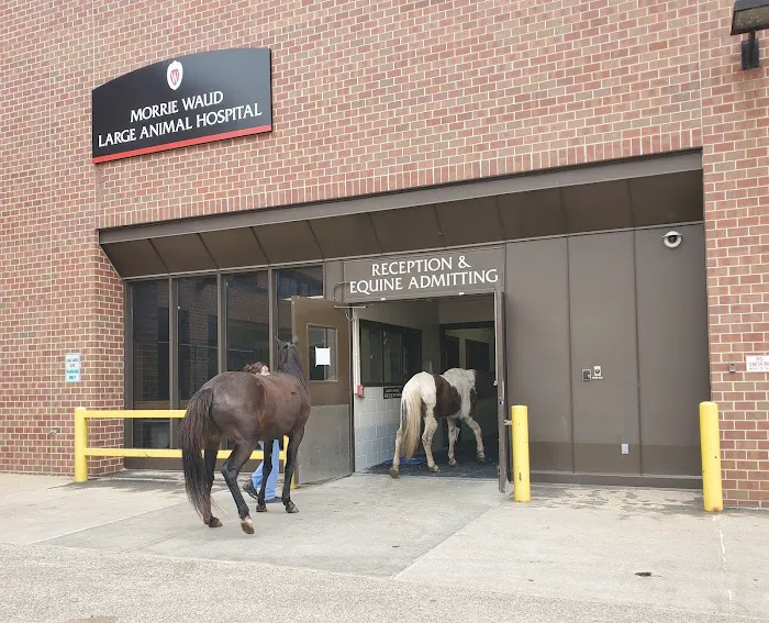 UW Veterinary Care 12