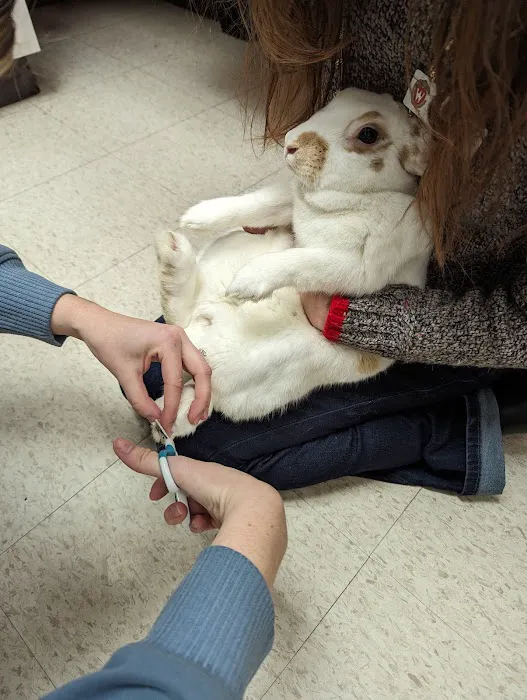 UW Veterinary Care 12
