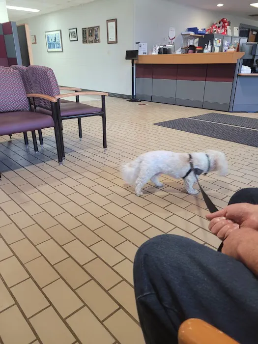 UW Veterinary Care 12