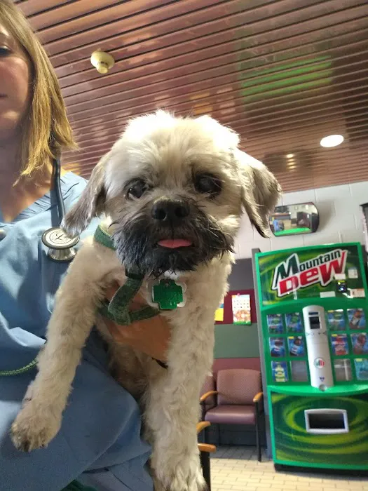 UW Veterinary Care 12