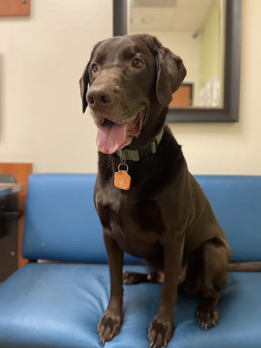 Banfield Pet Hospital 8