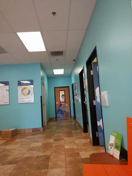 Banfield Pet Hospital 5