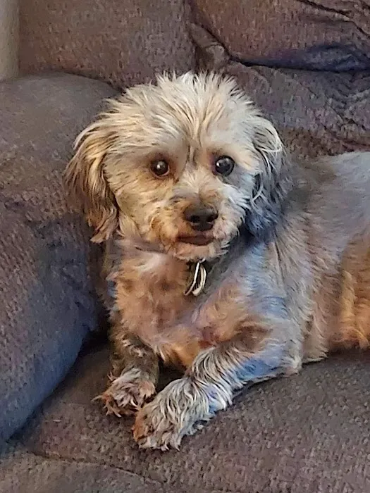 Banfield Pet Hospital 7