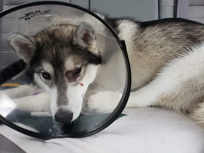 Banfield Pet Hospital 3
