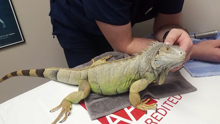 Arbor Ridge Pet Clinic 1