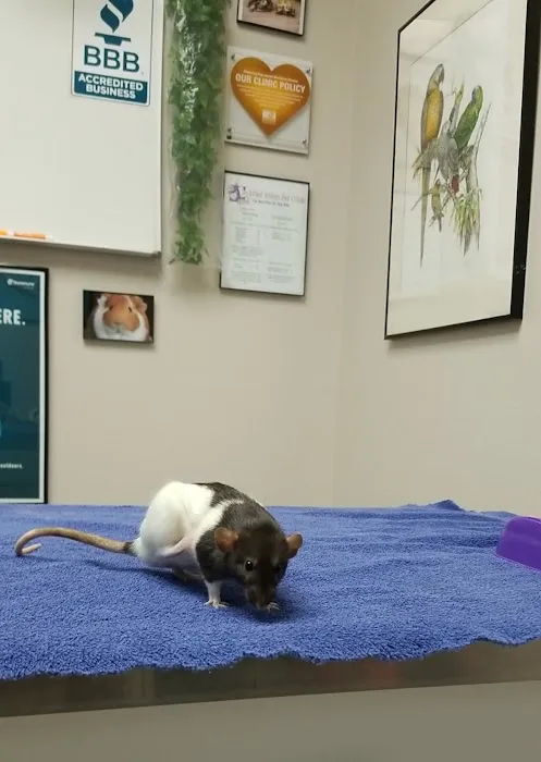 Arbor Ridge Pet Clinic 4