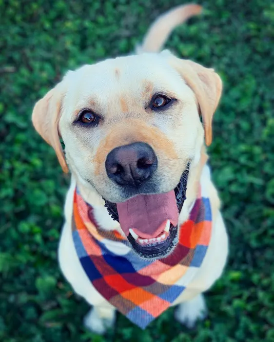 Arbor Ridge Pet Clinic 2