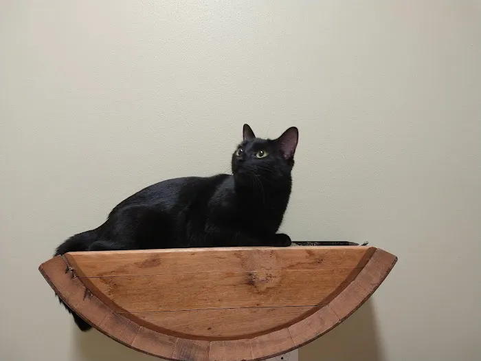 Lakeview Veterinary Clinic 4