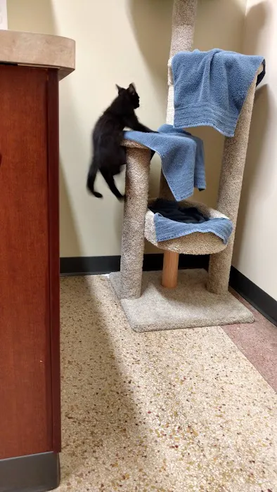Lakeview Veterinary Clinic 5