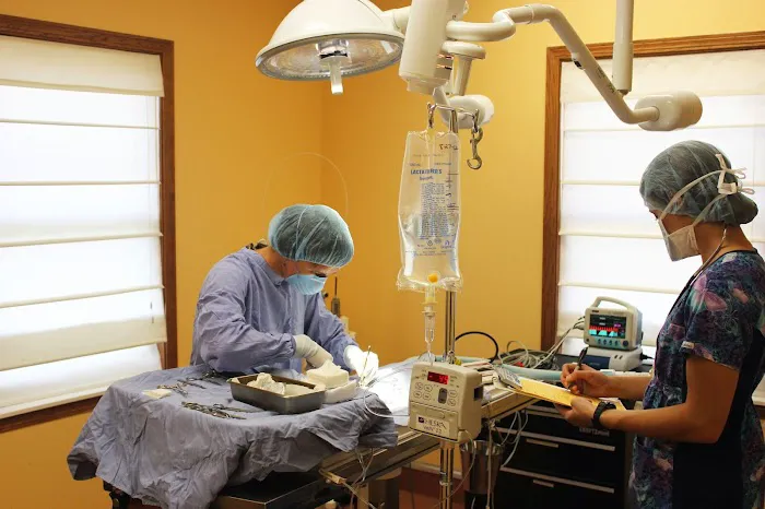 Odyssey Veterinary Care 12